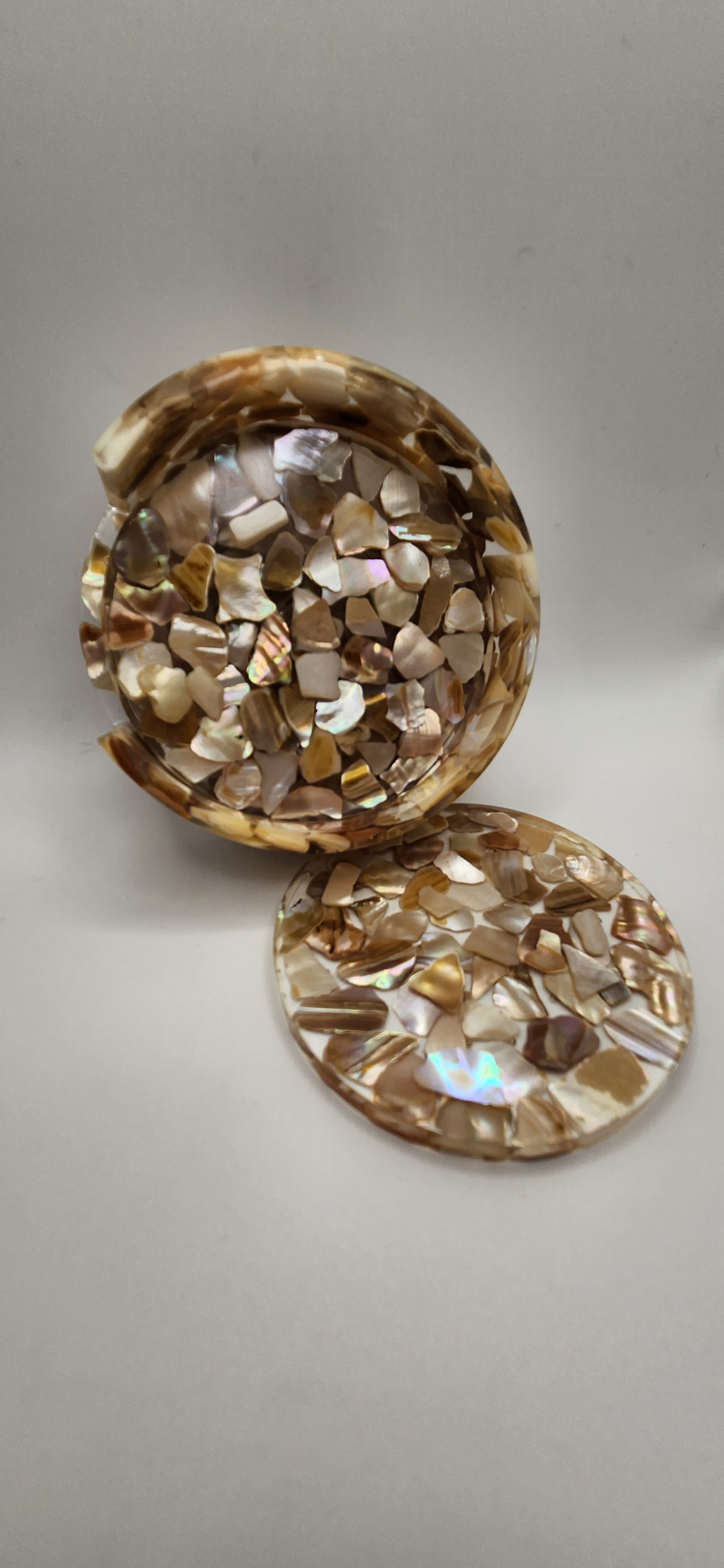 shell Coaster Set